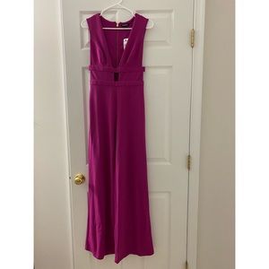 Express XS Pink Jumpsuit